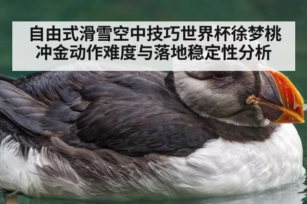 自由式滑雪空中技巧世界杯徐梦桃冲金动作难度与落地稳定性分析